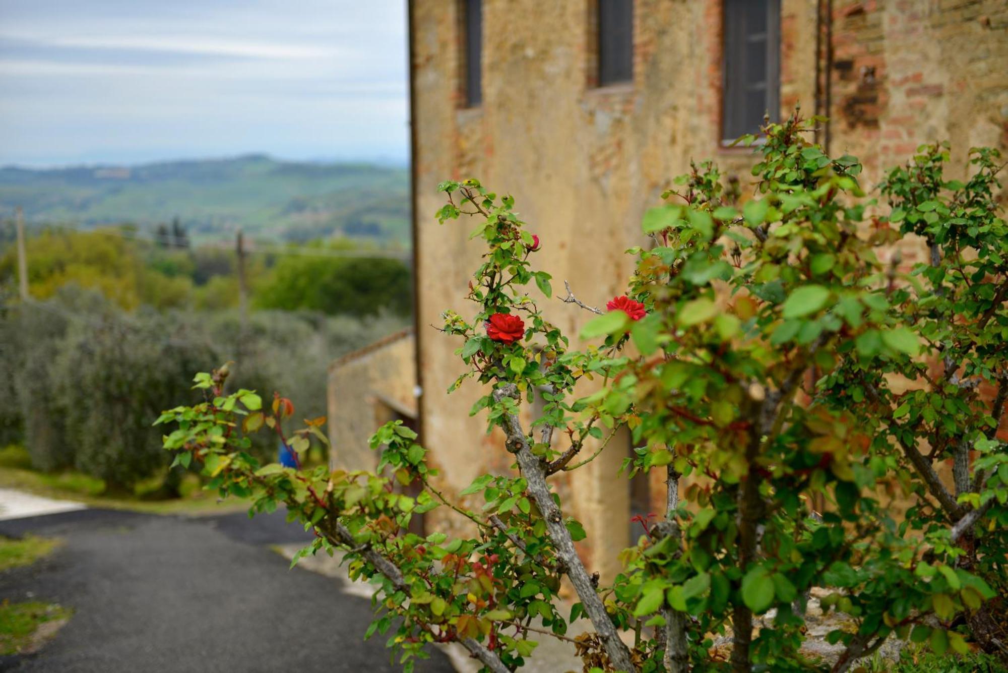 Casa Zeno Apartment Volterra Exterior foto